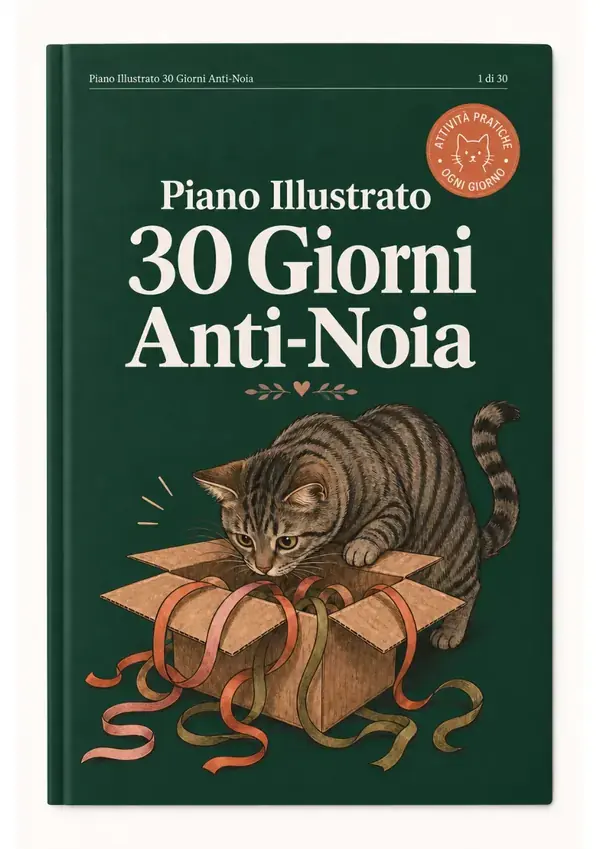 Piano Illustrato 30 Giorni Anti Noia, pagina 1