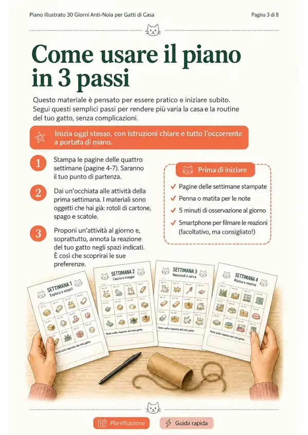 Piano Illustrato 30 Giorni Anti Noia, pagina 3