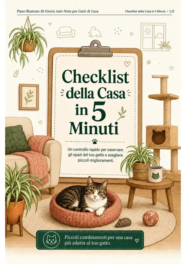 Checklist della Casa in 5 Minuti, pagina 1